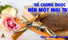 15.05.2024 – Thứ Tư Tuần VII Phục Sinh