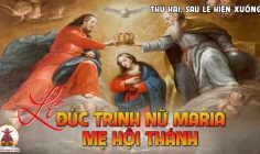 20.05.2024 – Thứ Hai Tuần VII Thường Niên: Lễ Đức Trinh Nữ Maria, Mẹ Hội Thánh