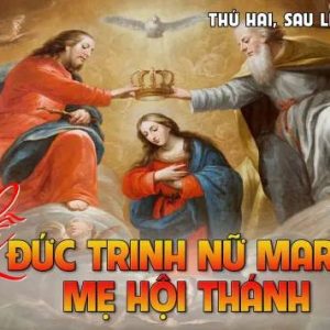 20.05.2024 – Thứ Hai Tuần VII Thường Niên: Lễ Đức Trinh Nữ Maria, Mẹ Hội Thánh