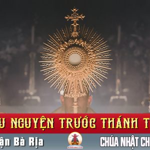 Cầu nguyện trước Thánh Thể- Ngày 26.05.2024 – Chúa Nhật Lễ Chúa Ba Ngôi B – Mt 28,16-20