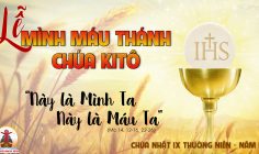 CÁC BÀI SUY NIỆM LỜI CHÚA CHÚA NHẬT LỄ MÌNH MÁU THÁNH CHÚA KITÔ-B