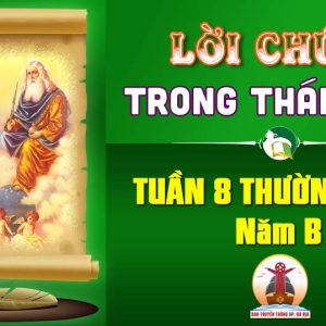 Lời Chúa trong thánh lễ Tuần 8 Thường niên – Năm B