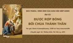 Đức Maria, Hình ảnh của Giáo hội hiệp hành: Bài 03 – Được rợp bóng bởi Chúa Thánh Thần