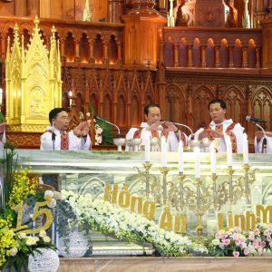 Gx. Song Vĩnh: Thánh lễ tạ ơn mừng 15 năm linh mục- Ngày 11.6.2024