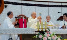 Gx Hòa An: Thánh lễ Tạ ơn mừng Kim Khánh Linh Mục Cha Cố Giuse Lê Thanh- Ngày 28.6.2024