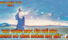 CÁC BÀI SUY NIỆM LỜI CHÚA CHÚA NHẬT XI THƯỜNG NIÊN-B