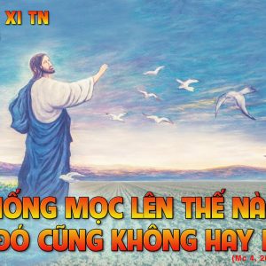 CÁC BÀI SUY NIỆM LỜI CHÚA CHÚA NHẬT XI THƯỜNG NIÊN-B
