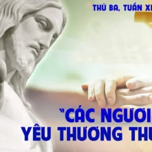 18.06.2024 – Thứ Ba Tuần XI Thường Niên