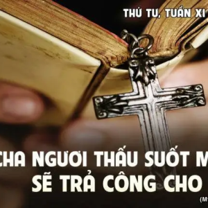 19.06.2024 – Thứ Tư Tuần XI Thường Niên