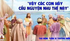 20.06.2024 – Thứ Năm Tuần XI Thường Niên
