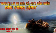 CÁC BÀI SUY NIỆM LỜI CHÚA CHÚA NHẬT XII THƯỜNG NIÊN-B