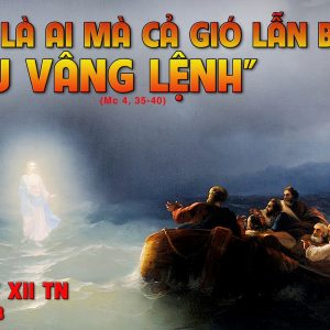 CÁC BÀI SUY NIỆM LỜI CHÚA CHÚA NHẬT XII THƯỜNG NIÊN-B