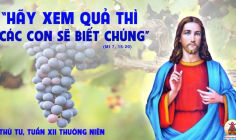 26.06.2024 – Thứ Tư Tuần XII Thường Niên