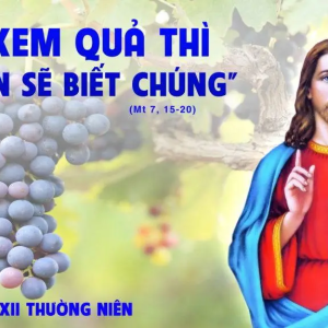 26.06.2024 – Thứ Tư Tuần XII Thường Niên