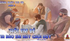 CÁC BÀI SUY NIỆM LỜI CHÚA CHÚA NHẬT XIII THƯỜNG NIÊN-B