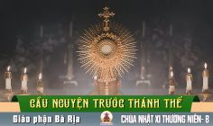 Cầu nguyện với Thánh Thể- Ngày 16.6.2024 – Chúa Nhật XI Thường niên B – Mc 4,26-34