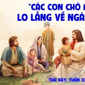 22.06.2024 - Thứ Bảy Tuần XI Thường Niên