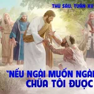 28.06.2024 – Thứ Sáu Tuần XII Thường Niên
