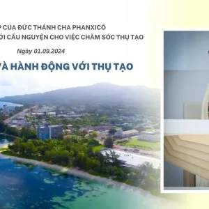 Sứ điệp Đức Thánh Cha nhân Ngày Thế giới Cầu nguyện cho việc Chăm sóc Thụ tạo năm 2024: Hy vọng và hành động với thụ tạo