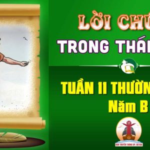 Lời Chúa trong thánh lễ Tuần 11 Thường niên – Năm B