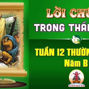Lời Chúa trong thánh lễ Tuần 12 Thường niên – Năm B