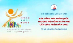 Hội đồng Giám mục Việt Nam – Bản tổng hợp toàn quốc Thượng hội đồng Giám Mục cấp Giáo Phận năm 2022