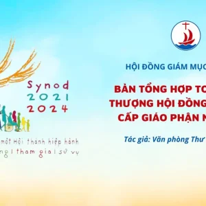 Hội đồng Giám mục Việt Nam - Bản tổng hợp toàn quốc Thượng hội đồng Giám Mục cấp Giáo Phận năm 2022