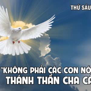 12.07.2024 – Thứ Sáu Tuần XIV Thường Niên