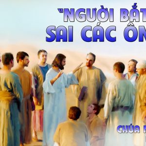 CÁC BÀI SUY NIỆM LỜI CHÚA CHÚA NHẬT XV THƯỜNG NIÊN-B