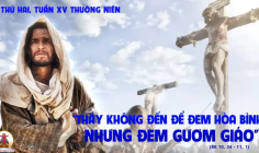 15.07.2024 – Thứ Hai Tuần XV Thường Niên