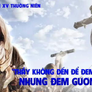 15.07.2024 – Thứ Hai Tuần XV Thường Niên