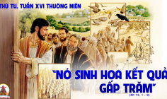 24.07.2024 – Thứ Tư Tuần XVI Thường Niên