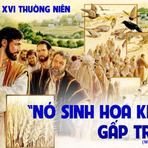 24.07.2024 – Thứ Tư Tuần XVI Thường Niên