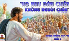 CÁC BÀI SUY NIỆM LỜI CHÚA CHÚA NHẬT XVI THƯỜNG NIÊN-B