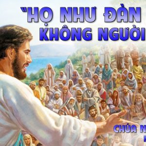 CÁC BÀI SUY NIỆM LỜI CHÚA CHÚA NHẬT XVI THƯỜNG NIÊN-B