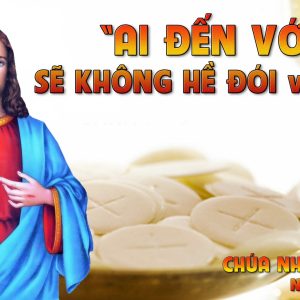 CÁC BÀI SUY NIỆM LỜI CHÚA CHÚA NHẬT XVIII THƯỜNG NIÊN-B