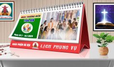 Lịch Phụng vụ từ ngày 07.7.2024 đến 14.7.2024