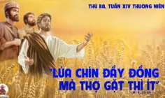 09.07.2024 – Thứ Ba Tuần XIV Thường Niên