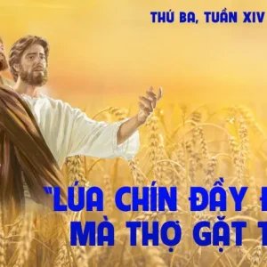 09.07.2024 – Thứ Ba Tuần XIV Thường Niên
