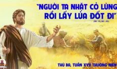 30.07.2024 – Thứ Ba Tuần XVII Thường Niên