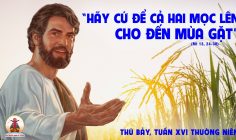 27.07.2024 – Thứ Bảy Tuần XVI Thường Niên