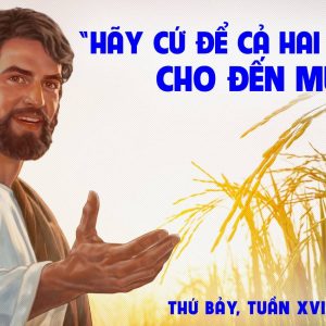 27.07.2024 – Thứ Bảy Tuần XVI Thường Niên