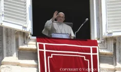 Kinh Truyền Tin (28.07.2024) – ĐTC Phanxicô: Trao dâng, tạ ơn và chia sẻ