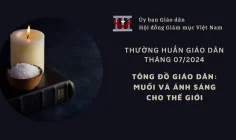 Ủy ban Giáo dân – Thường huấn tháng 07/2024: Tông đồ giáo dân – Muối và ánh sáng cho thế giới
