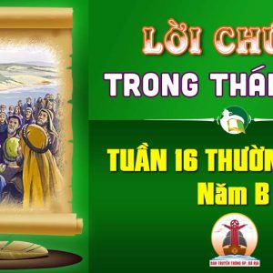 Lời Chúa trong thánh lễ Tuần 16 Thường niên – Năm B
