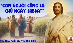 19.07.2024 – Thứ Sáu Tuần XV Thường Niên
