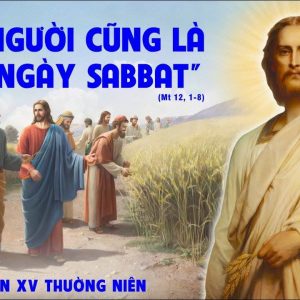 19.07.2024 – Thứ Sáu Tuần XV Thường Niên