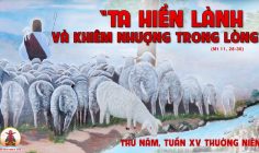 18.07.2024 – Thứ Năm Tuần XV Thường Niên