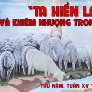 18.07.2024 – Thứ Năm Tuần XV Thường Niên