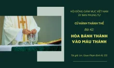 Cử hành Thánh Thể: Bài 42 – Hòa Bánh Thánh vào Máu Thánh